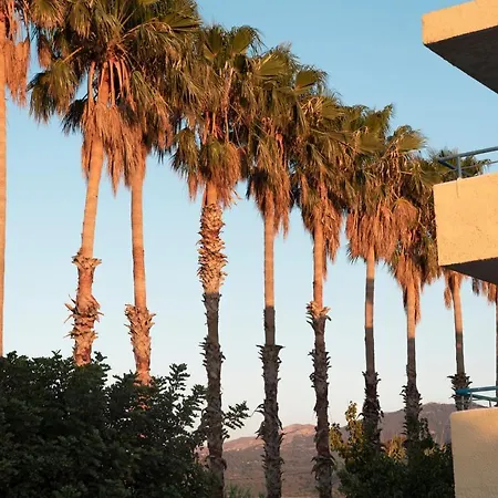 蒂加基绿洲酒店