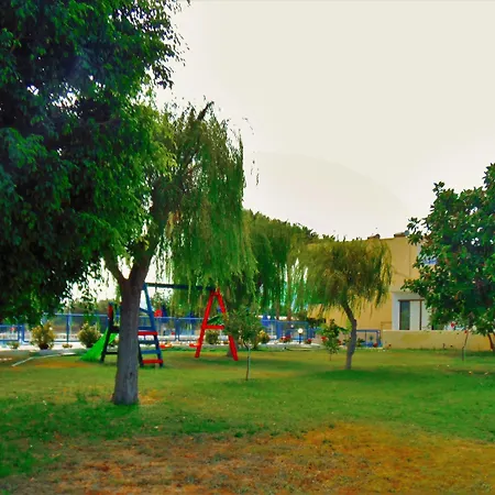 蒂加基绿洲酒店